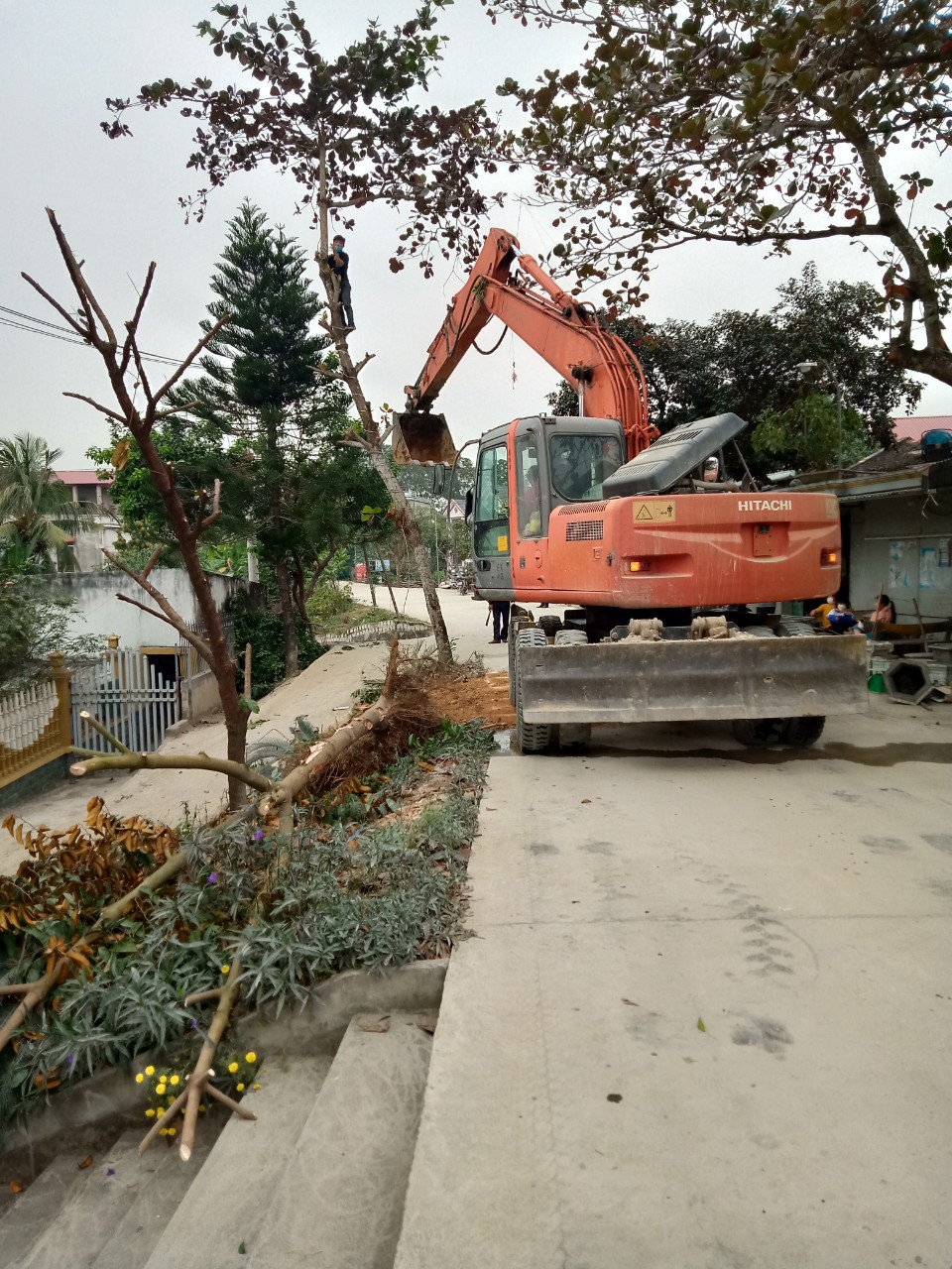Tập trung thực hiện tổng dọn vệ sinh, phát quang cây cối và xử lý giải tỏa các bãi tập kết vật liệu, lều quán trên hành lang mái đê địa bàn xã Phong Lộc 